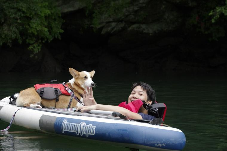 犬と遊べるSUP(サップ)